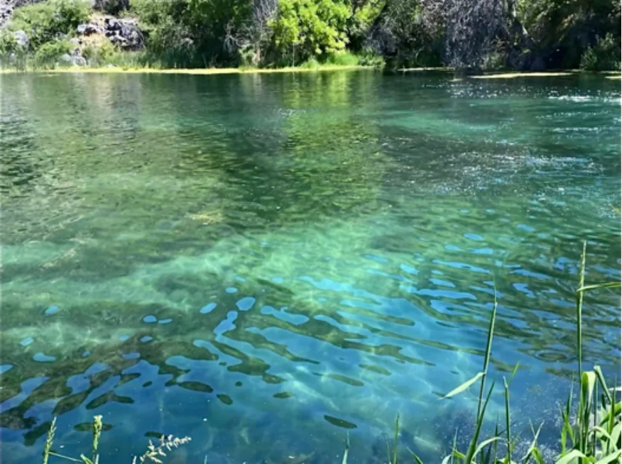 九寨沟特种兵已阵亡😰重生后整理的避坑