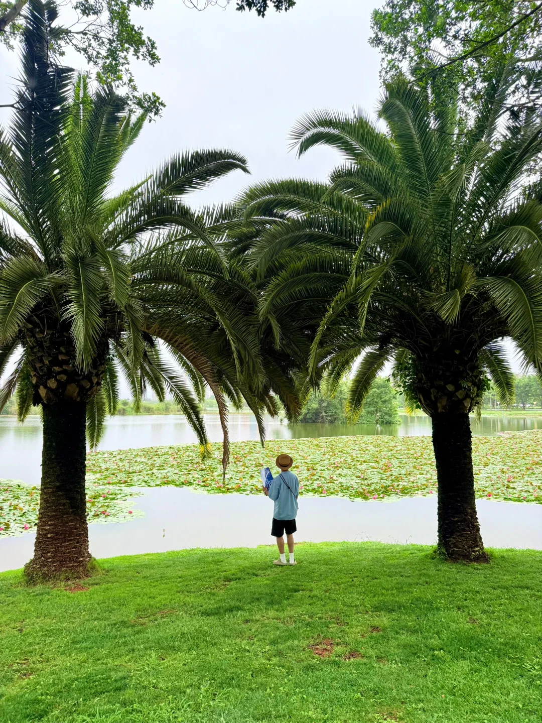 迄今为止，最爱的云南小城出现了！！！