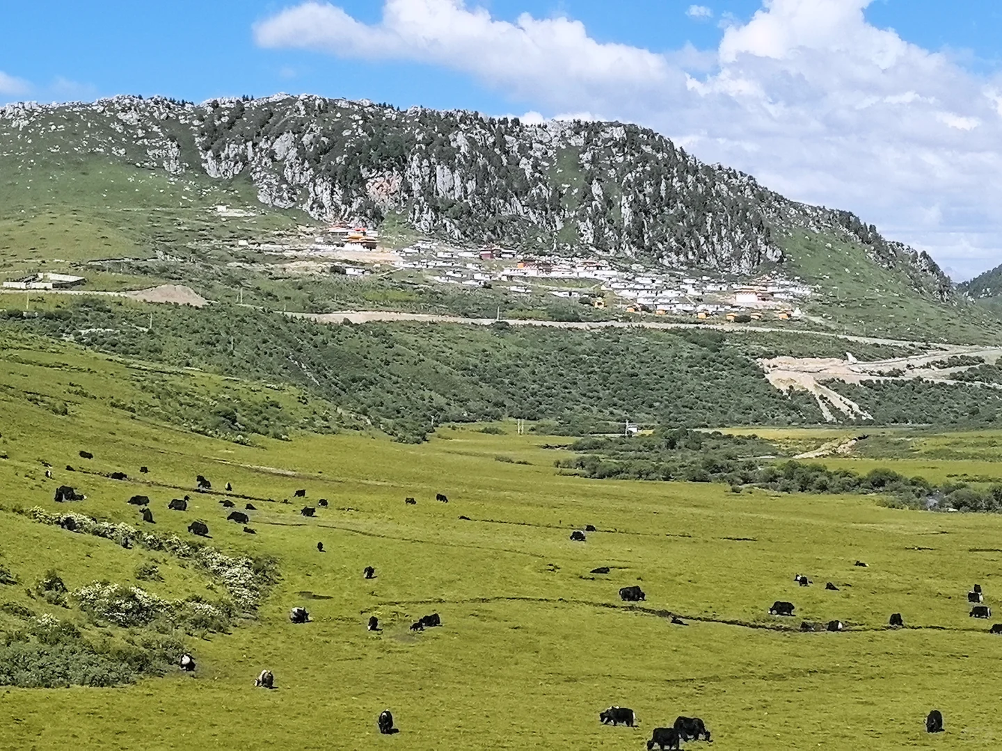 周末两天打来回,可玩红原免费两个景区‼️