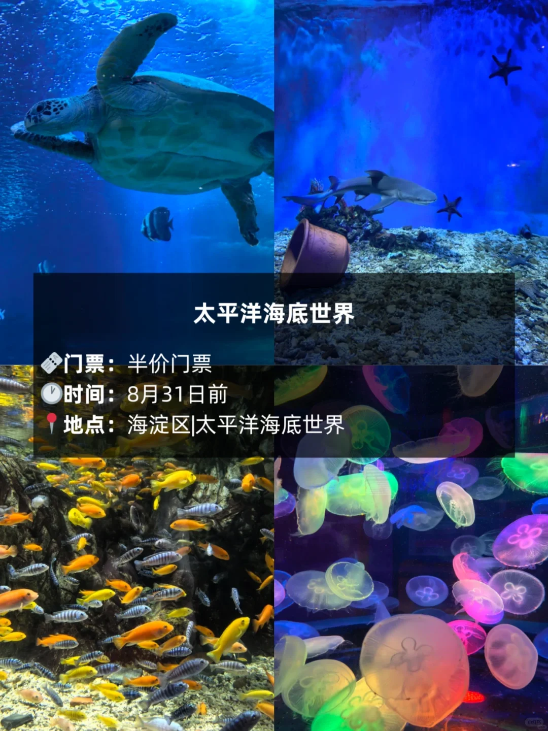 北京高考准考证别丢🔥这些景点免费‼️