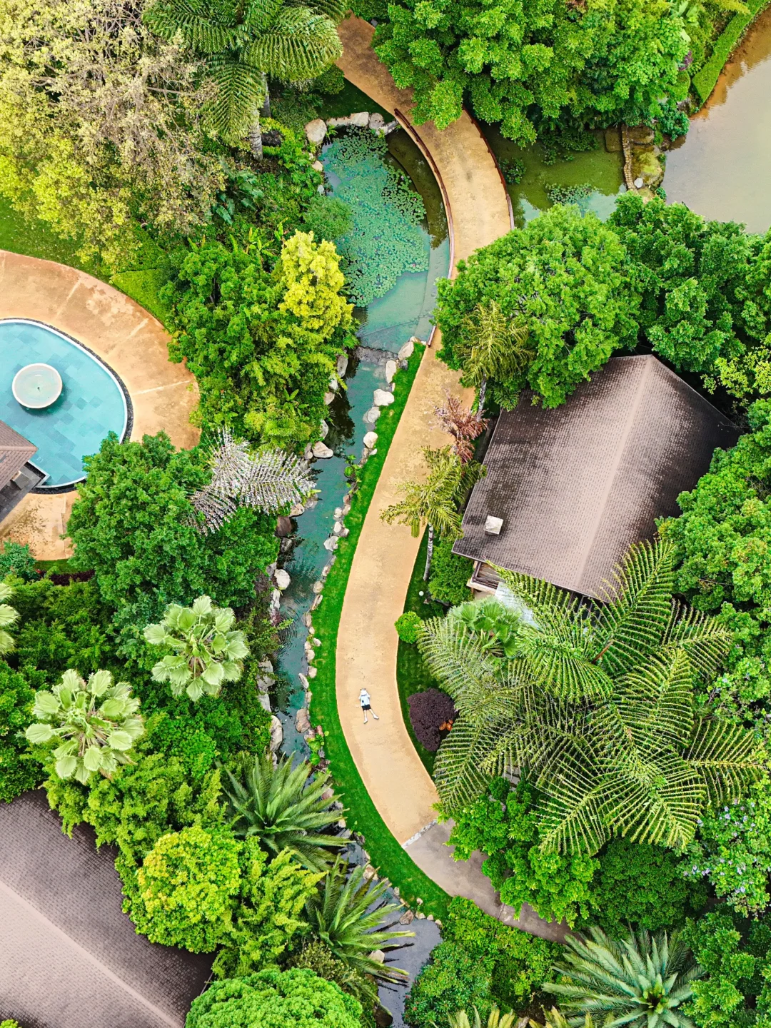 迄今为止，最爱的云南小城出现了！！！