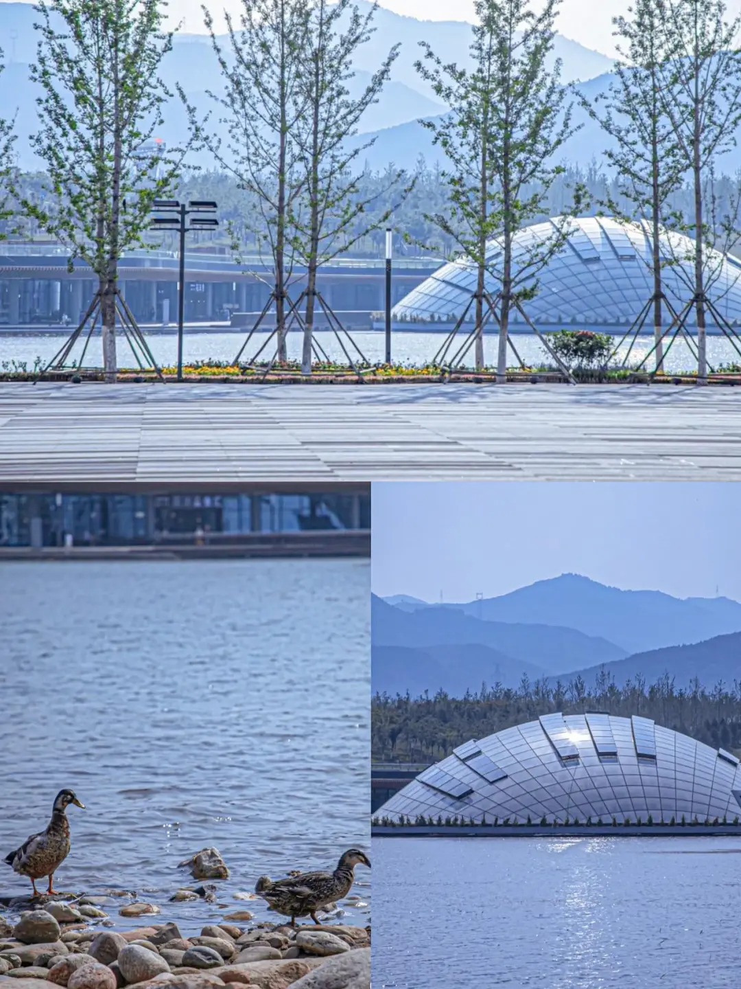 太原真的会惩罚每一个不做攻略的人！！！