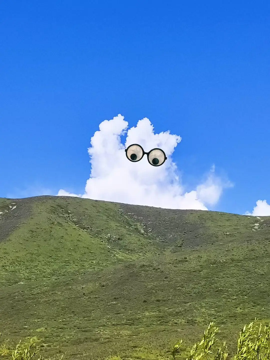 周末两天打来回,可玩红原免费两个景区‼️