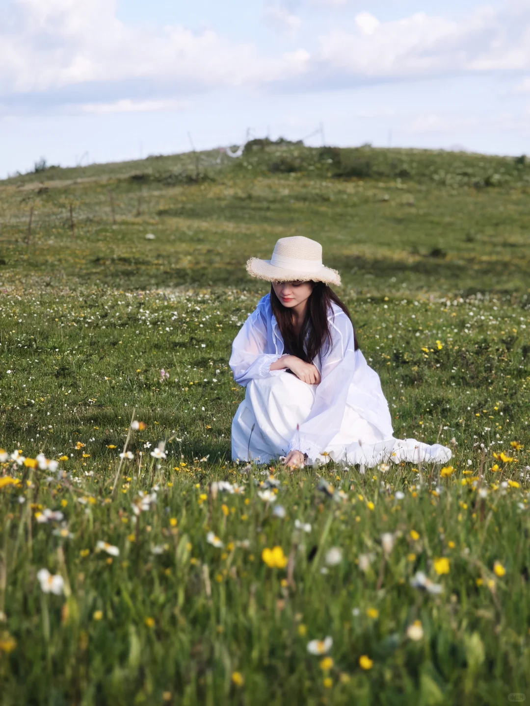 周末两天打来回,可玩红原免费两个景区‼️