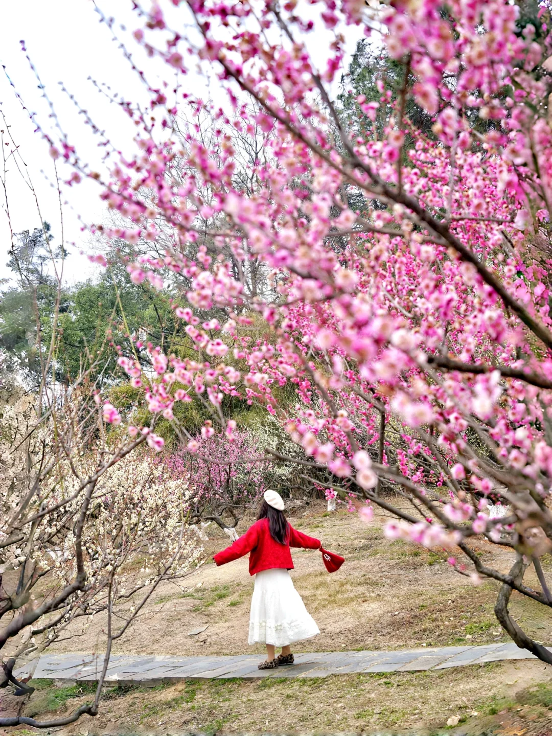 如果你第一次来东湖❗️那这份精华攻略请收好