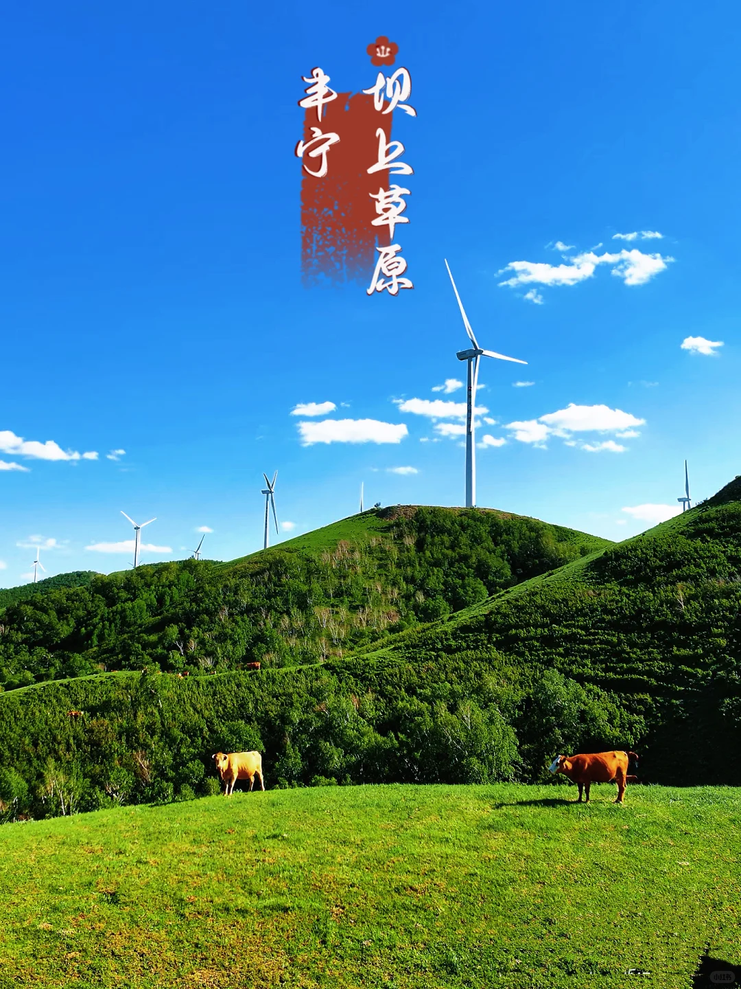 承德旅游，10大必玩景点