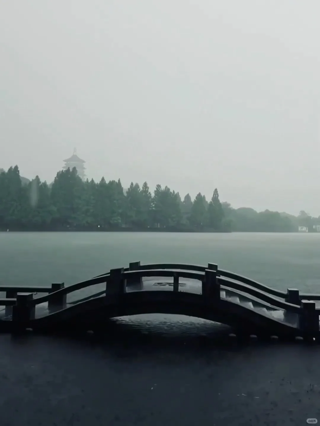 7.17📍杭州遭罪已回,真心建议大家…