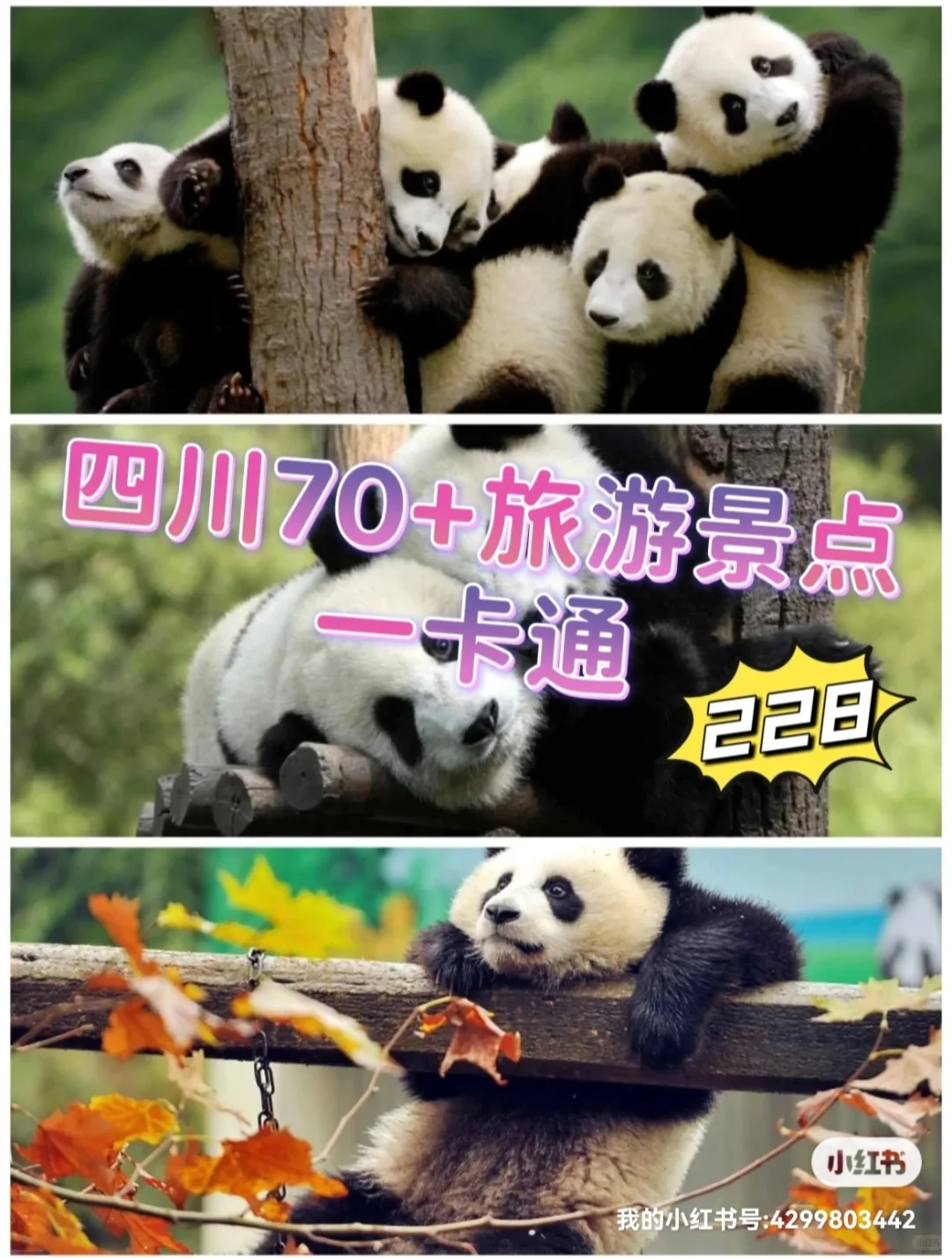 五一去哪里玩？买它，畅游70个景点