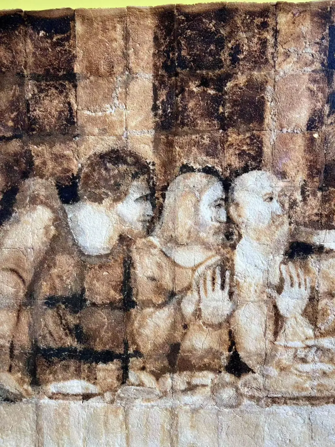 黄金海岸半日游