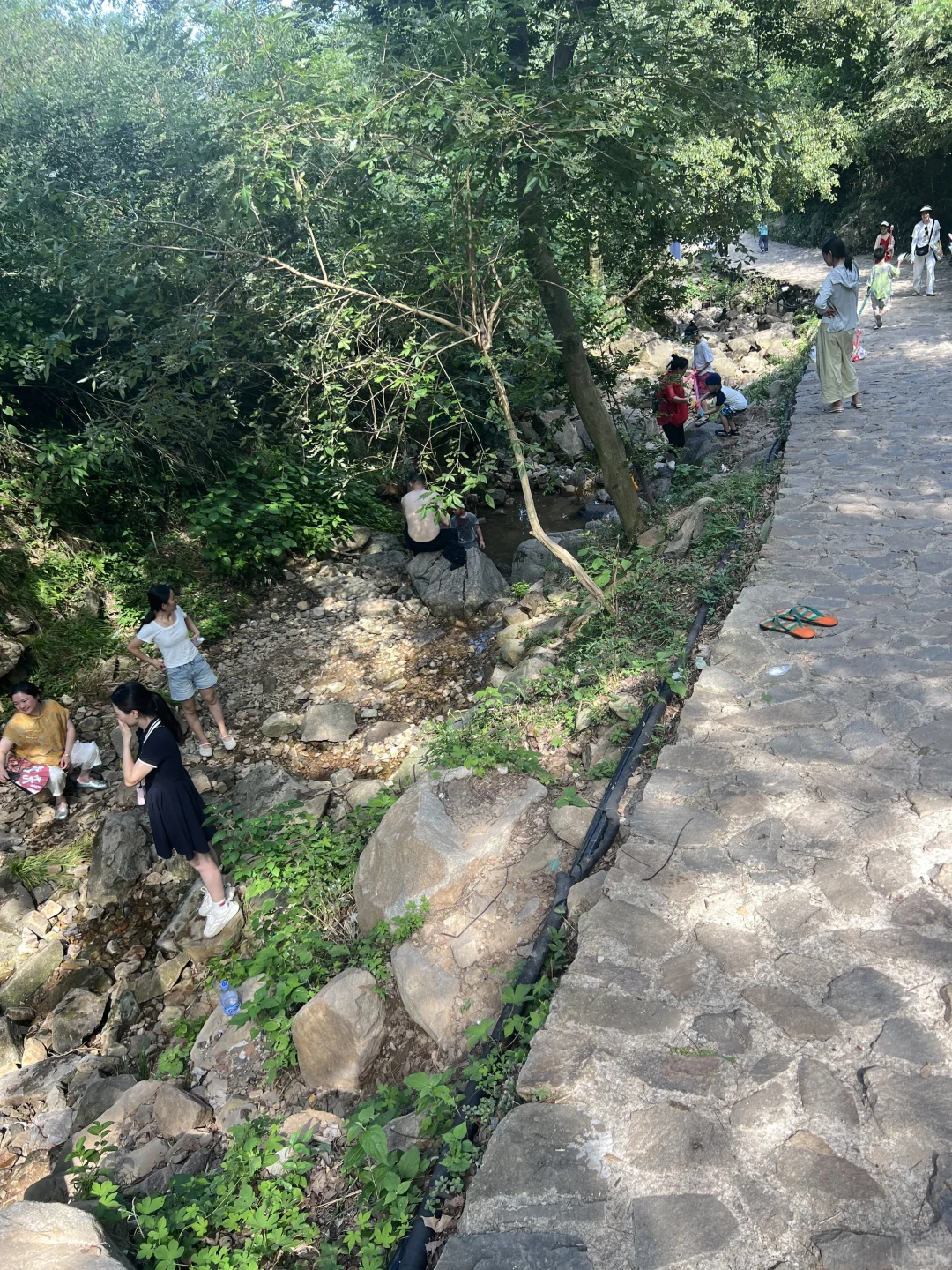 家人们谁懂啊这种被“网红景点”背刺的痛啊！