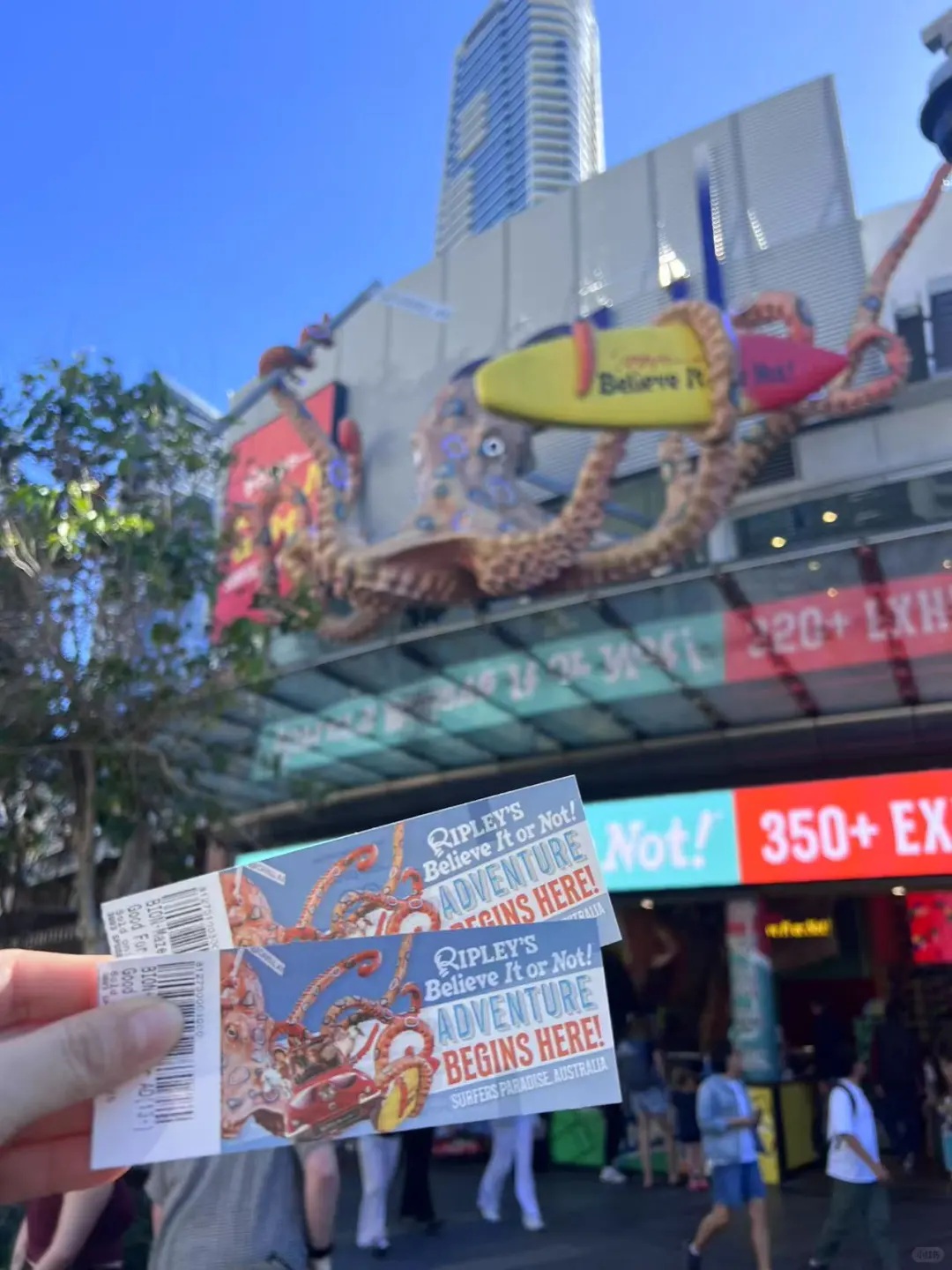 黄金海岸半日游