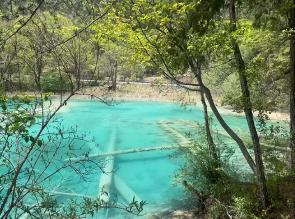 九寨沟特种兵已阵亡😰重生后整理的避坑