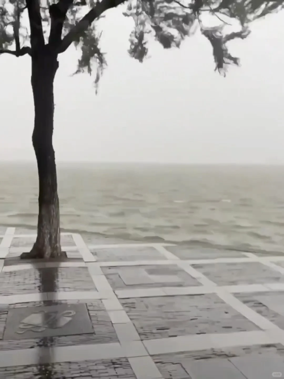 7.17📍杭州遭罪已回,真心建议大家…