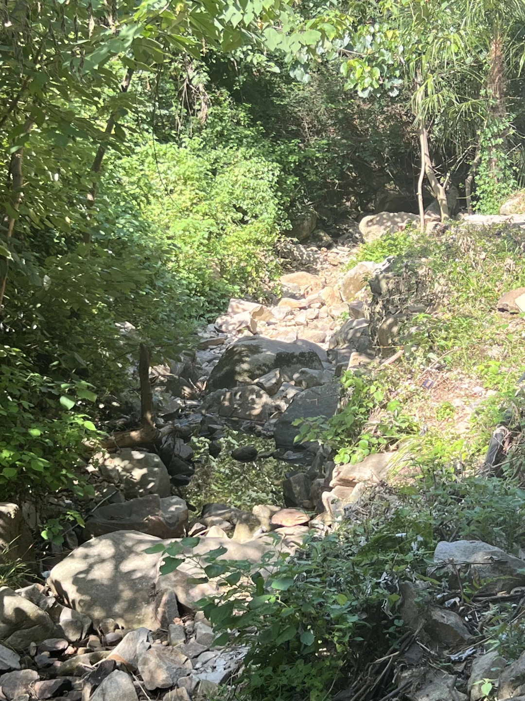 家人们谁懂啊这种被“网红景点”背刺的痛啊！