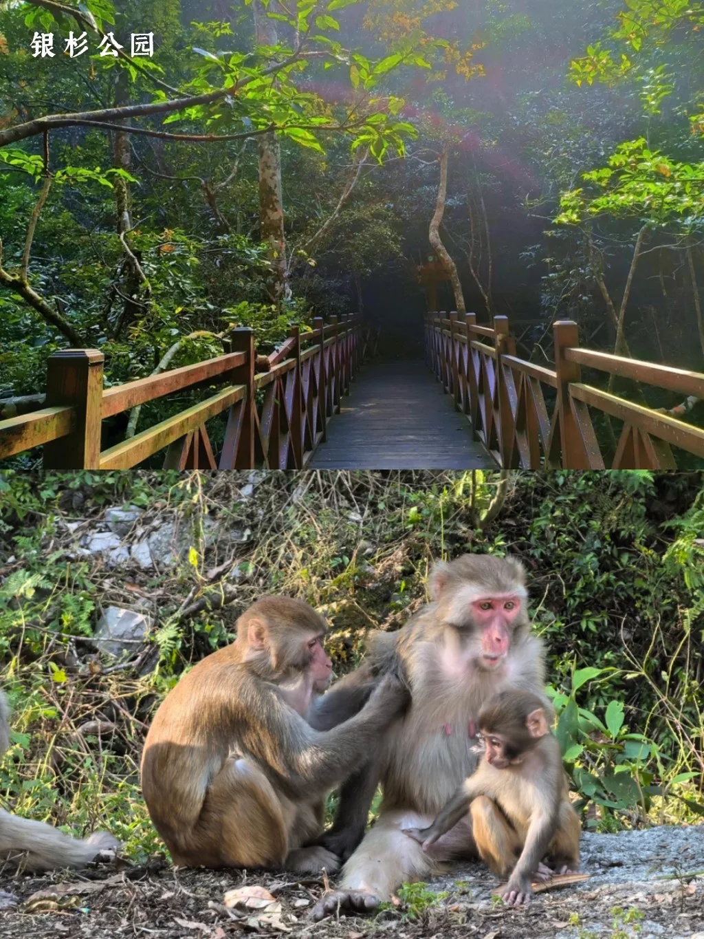 来广西金秀，21℃过夏天！高温避暑宝藏地