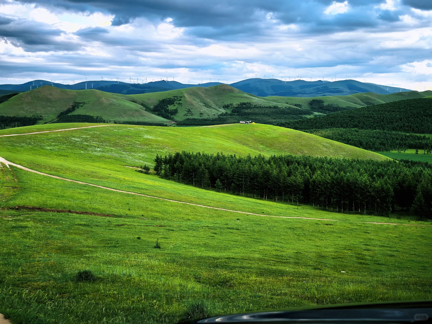 去不了阿勒泰，只能去河北，我在河北找到了