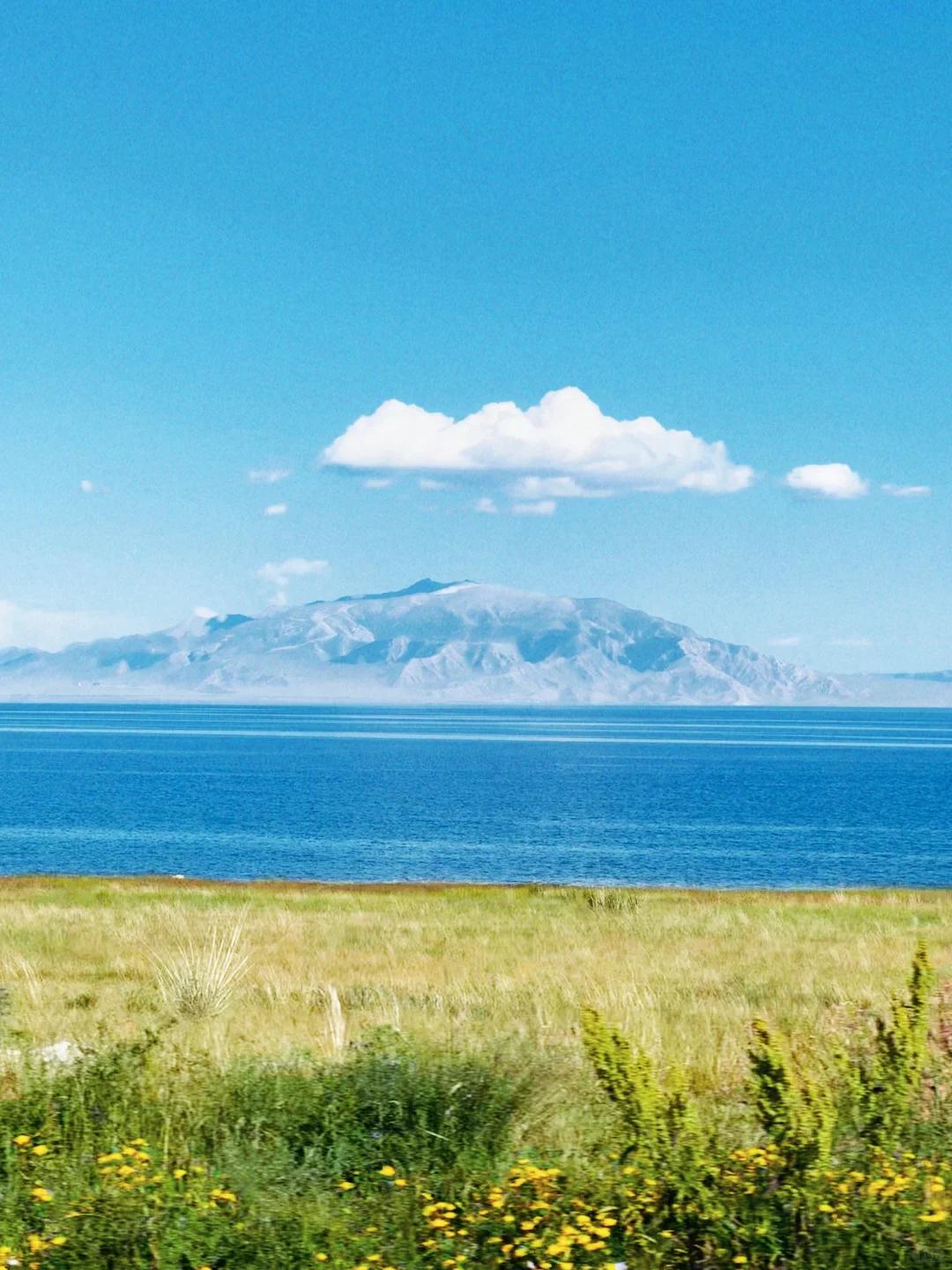 纯净版赛里木湖，逼真的像油画作品