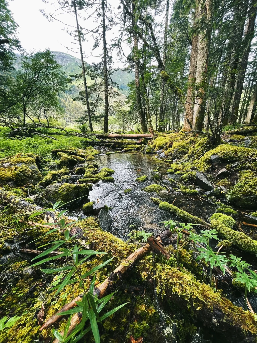 和老公跟团去了香格里拉，这人生酒店太震撼