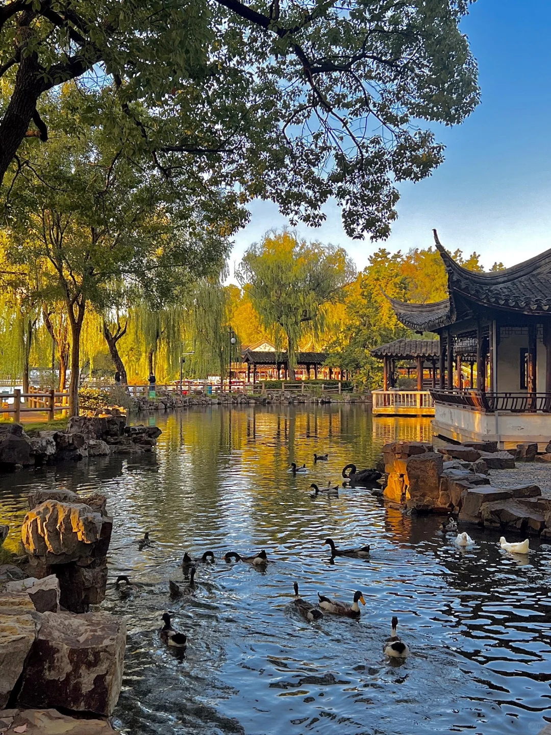 离开苏州前：一定要拍的🔟个机位。。。