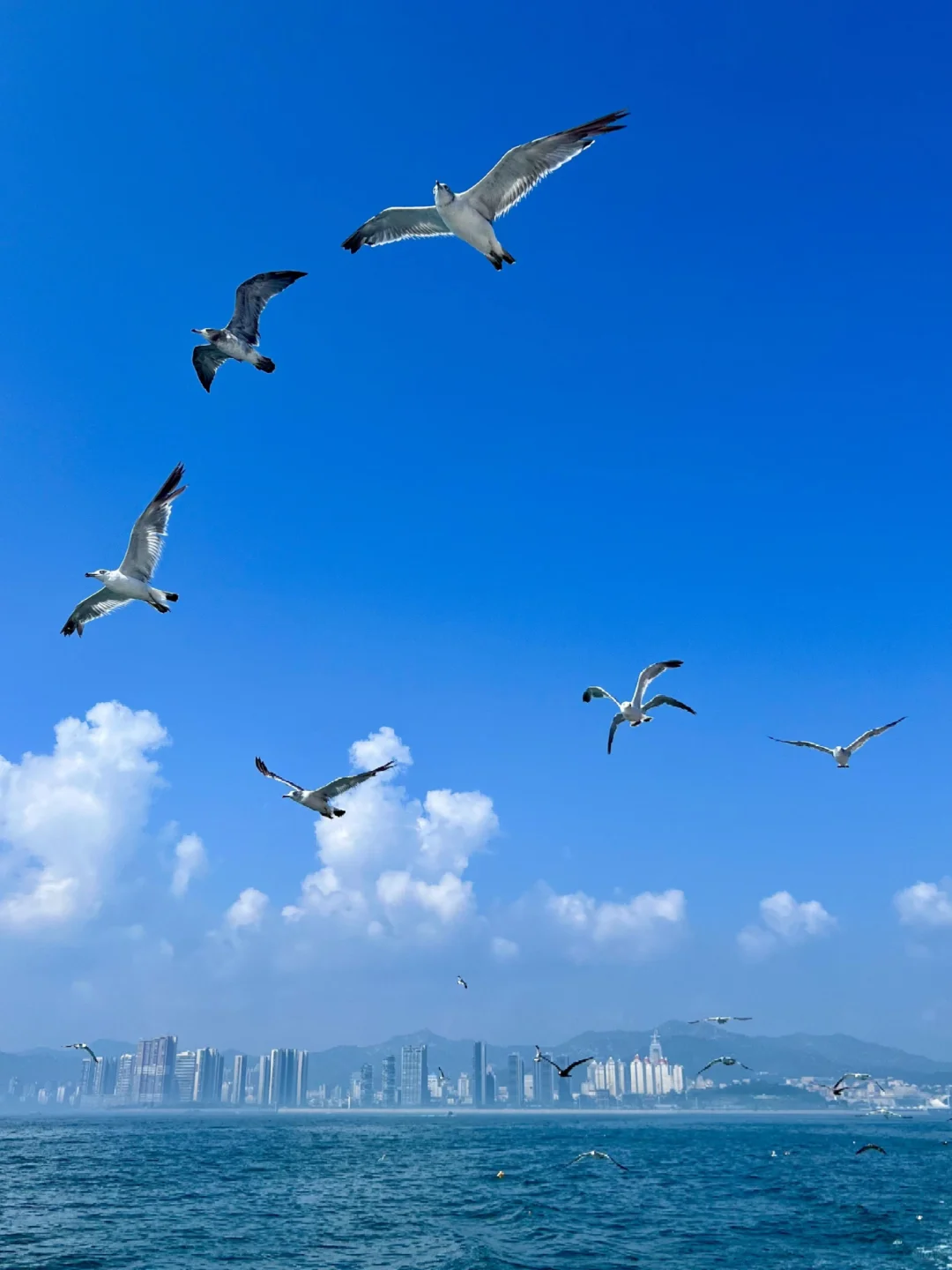 暑期溜娃指南—威海篇3天2晚不踩雷攻略