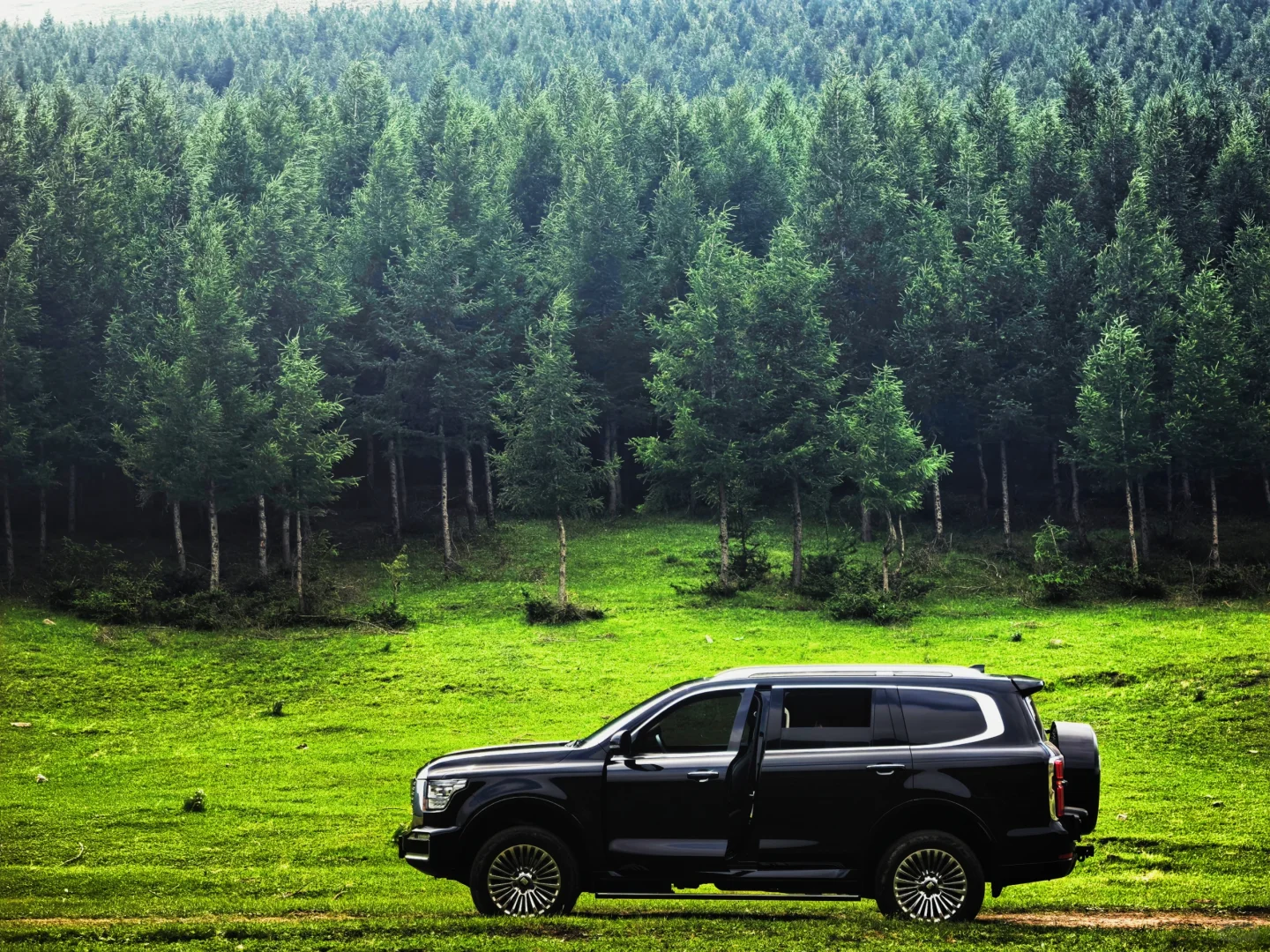 去不了阿勒泰，只能去河北，我在河北找到了