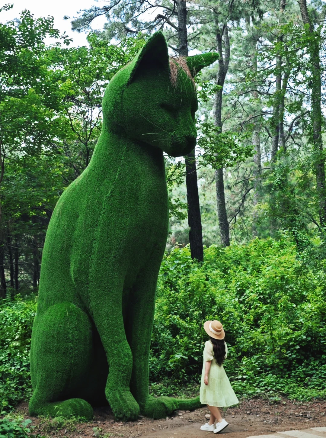 跟着苏超玩常州｜江浙沪宝藏避暑地出现了