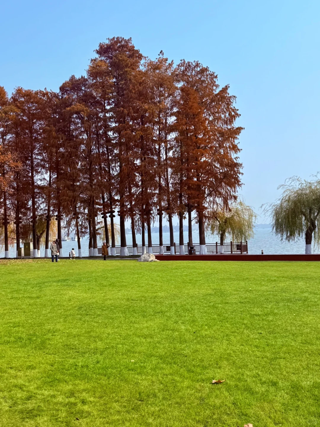 如果你第一次来东湖❗️那这份精华攻略请收好