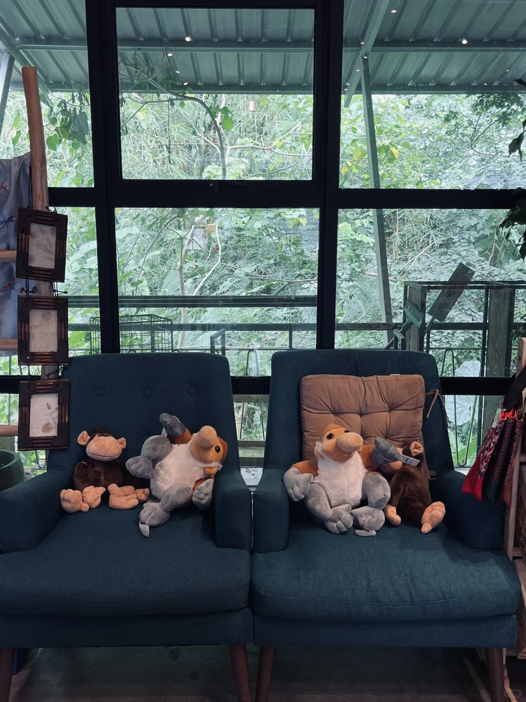 亚庇旅游踩大雷⛈️人多到神似国内旅游黄金周