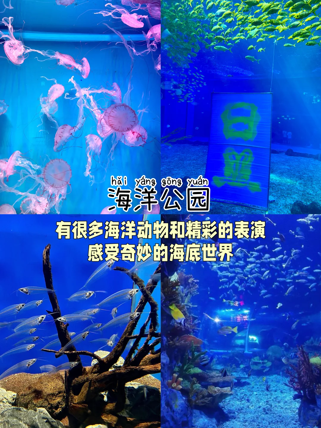 日照📍两天一夜｜不费腿版保姆级逛吃攻略‼️