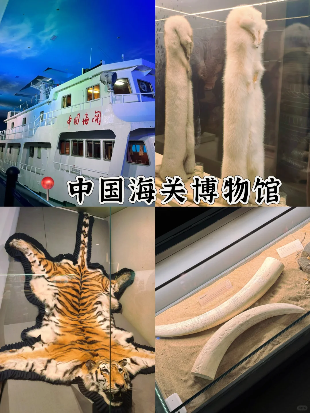 北京十个免预约博物馆|遛娃➕避暑圣地🔥