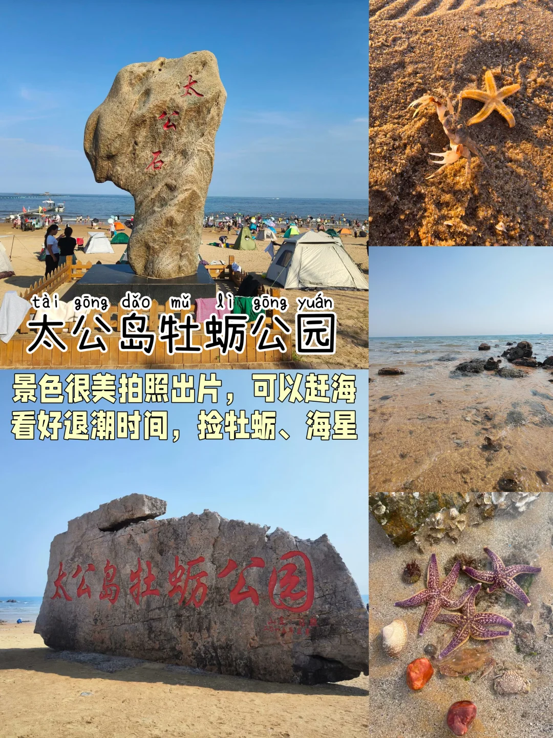 日照📍两天一夜｜不费腿版保姆级逛吃攻略‼️