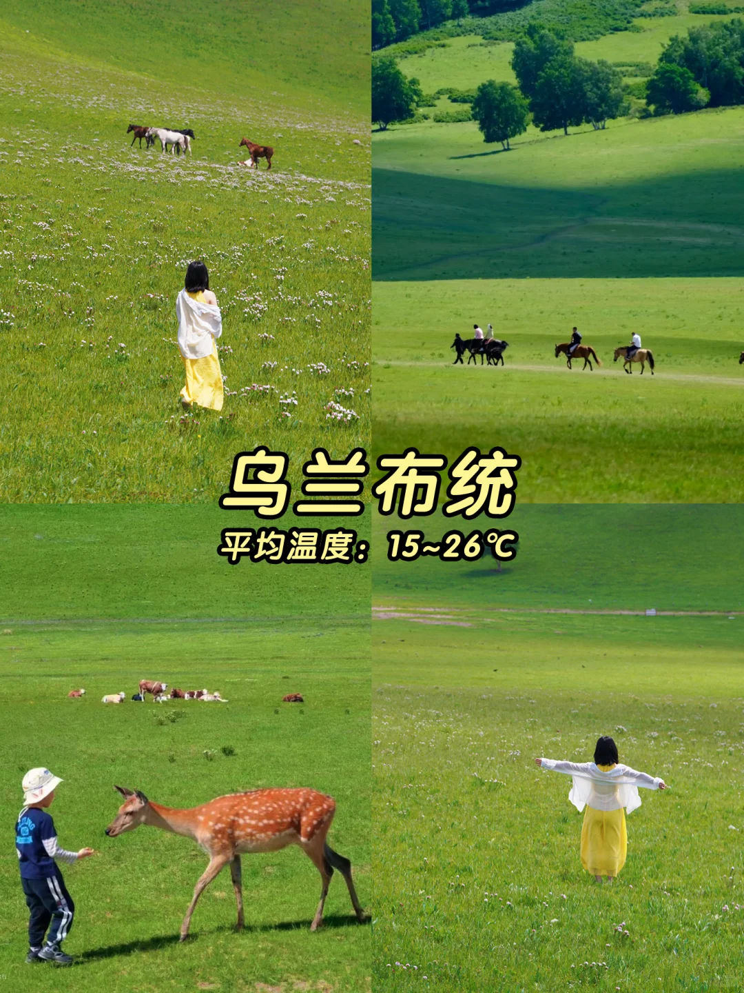 2025避暑地图💦均温20℃的天然空调！