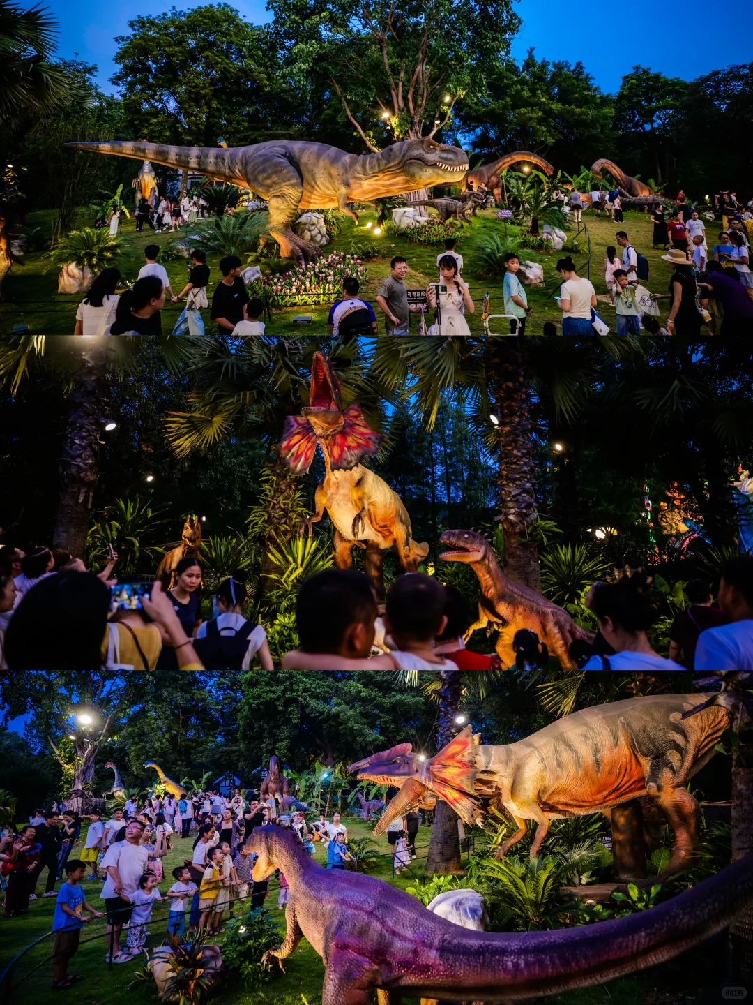 南宁夜花园必打卡十个景点(附攻略）