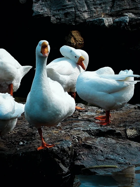 少踩雷！邯郸必去&避坑指南！