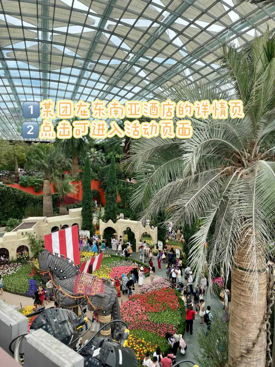 不绕路不踩坑,新加坡攻略拿走不谢