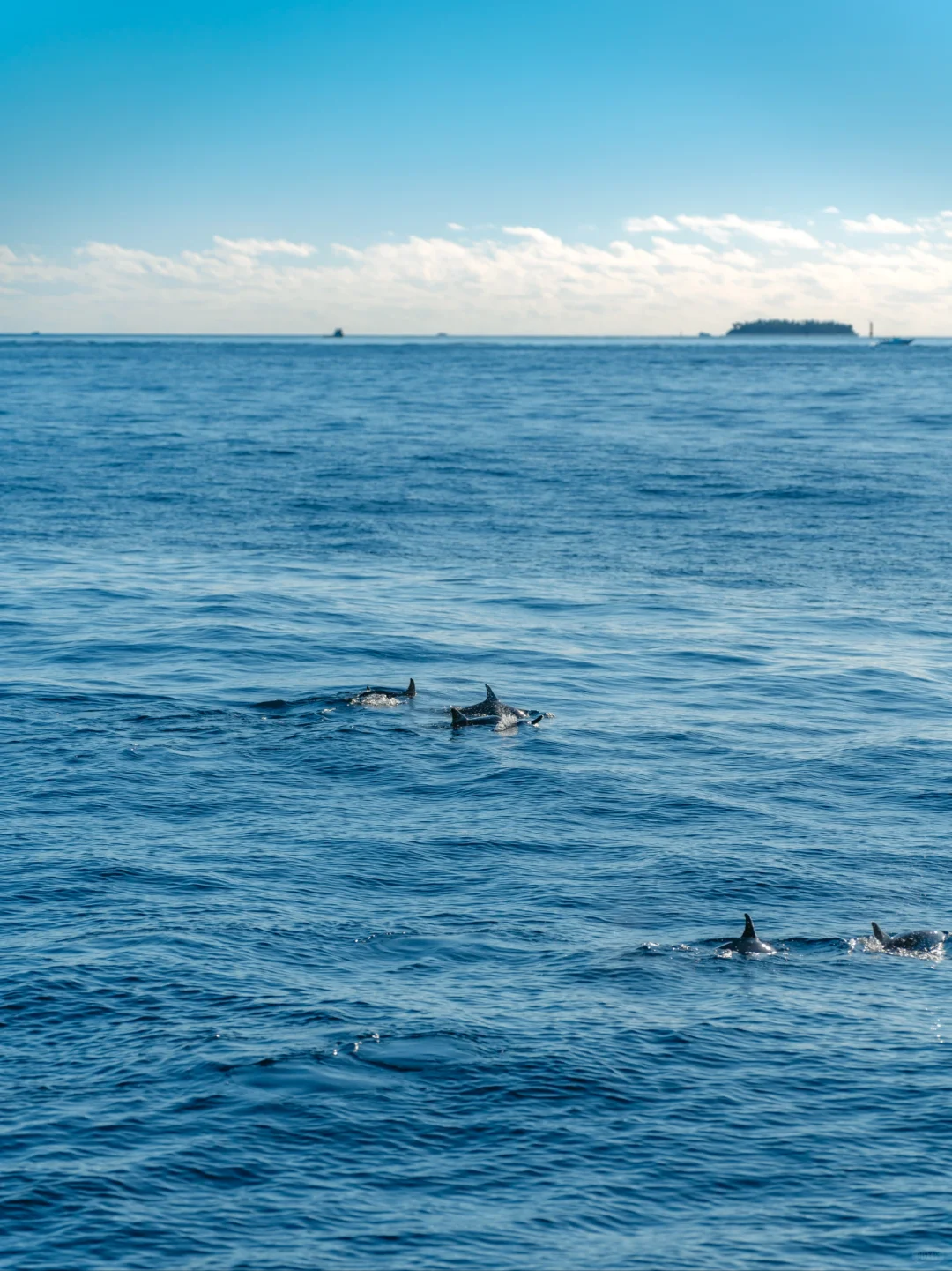 从什么时候起,只花3万块钱旅游成了罪过?