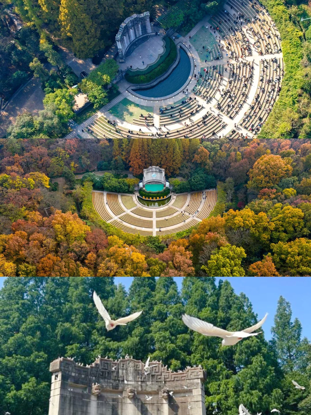 暑假带娃怎么逛南京中山陵‼️一篇讲清