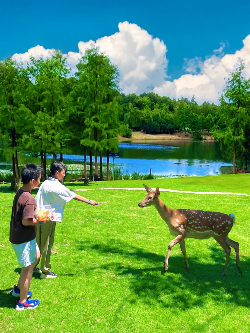 暑假带娃怎么逛南京中山陵‼️一篇讲清