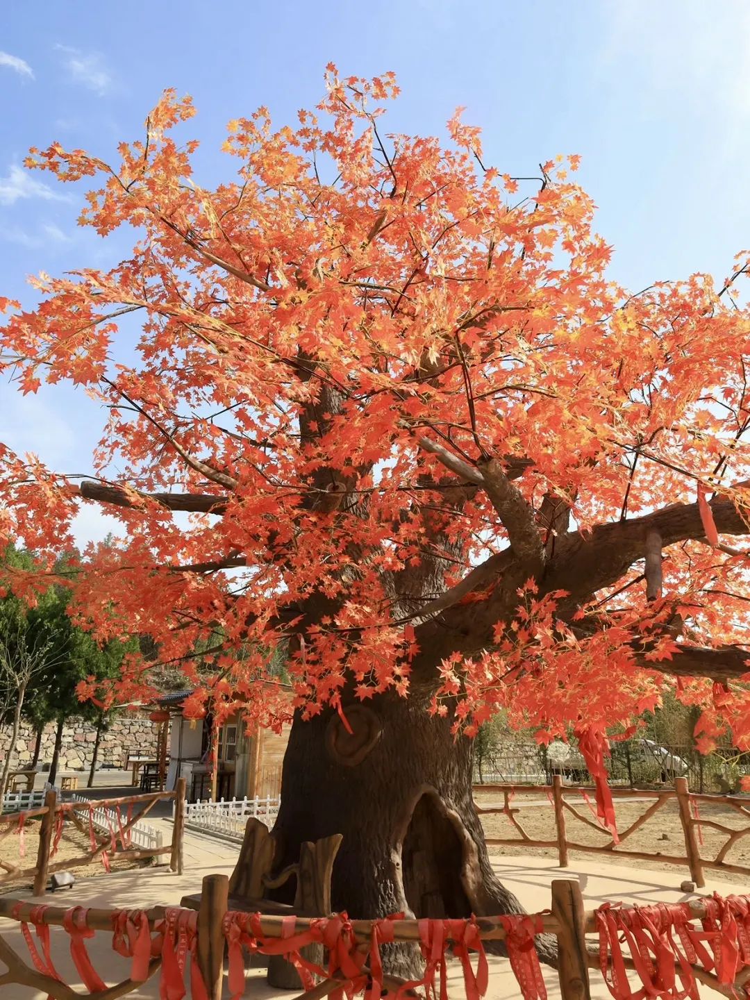 邯郸一日游（速通版攻略👊🏻