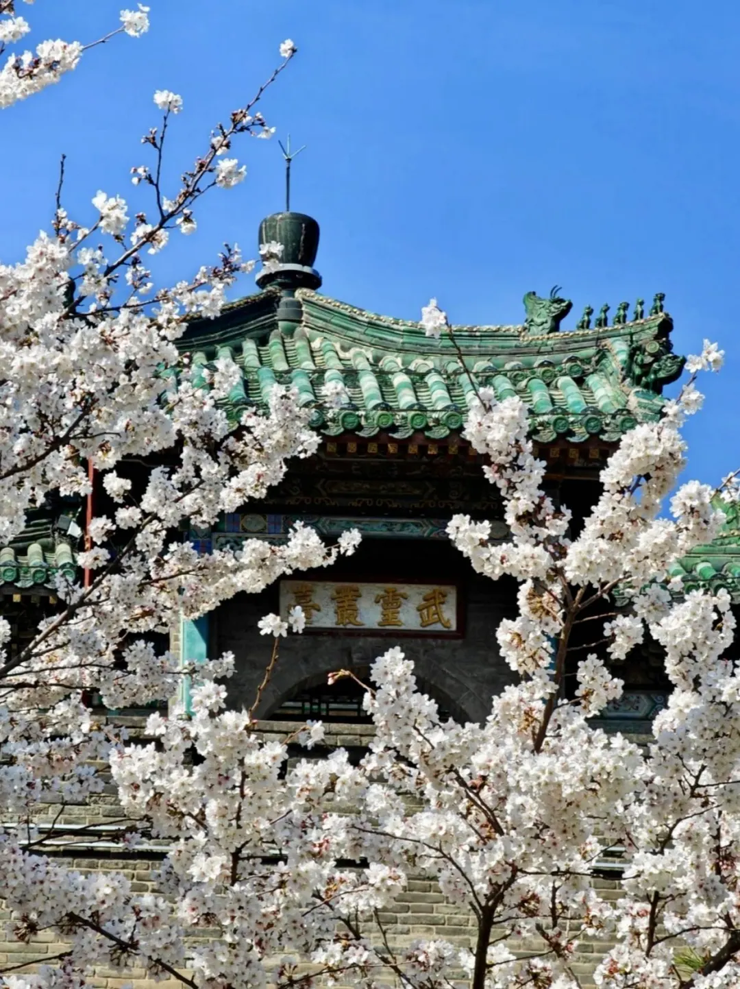 邯郸一日游（速通版攻略👊🏻