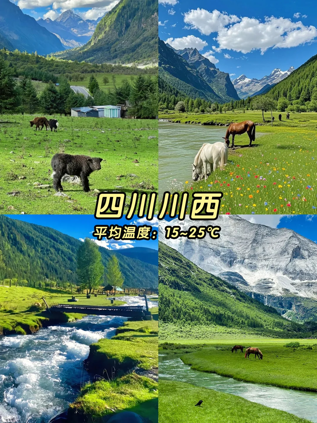 2025避暑地图💦均温20℃的天然空调!