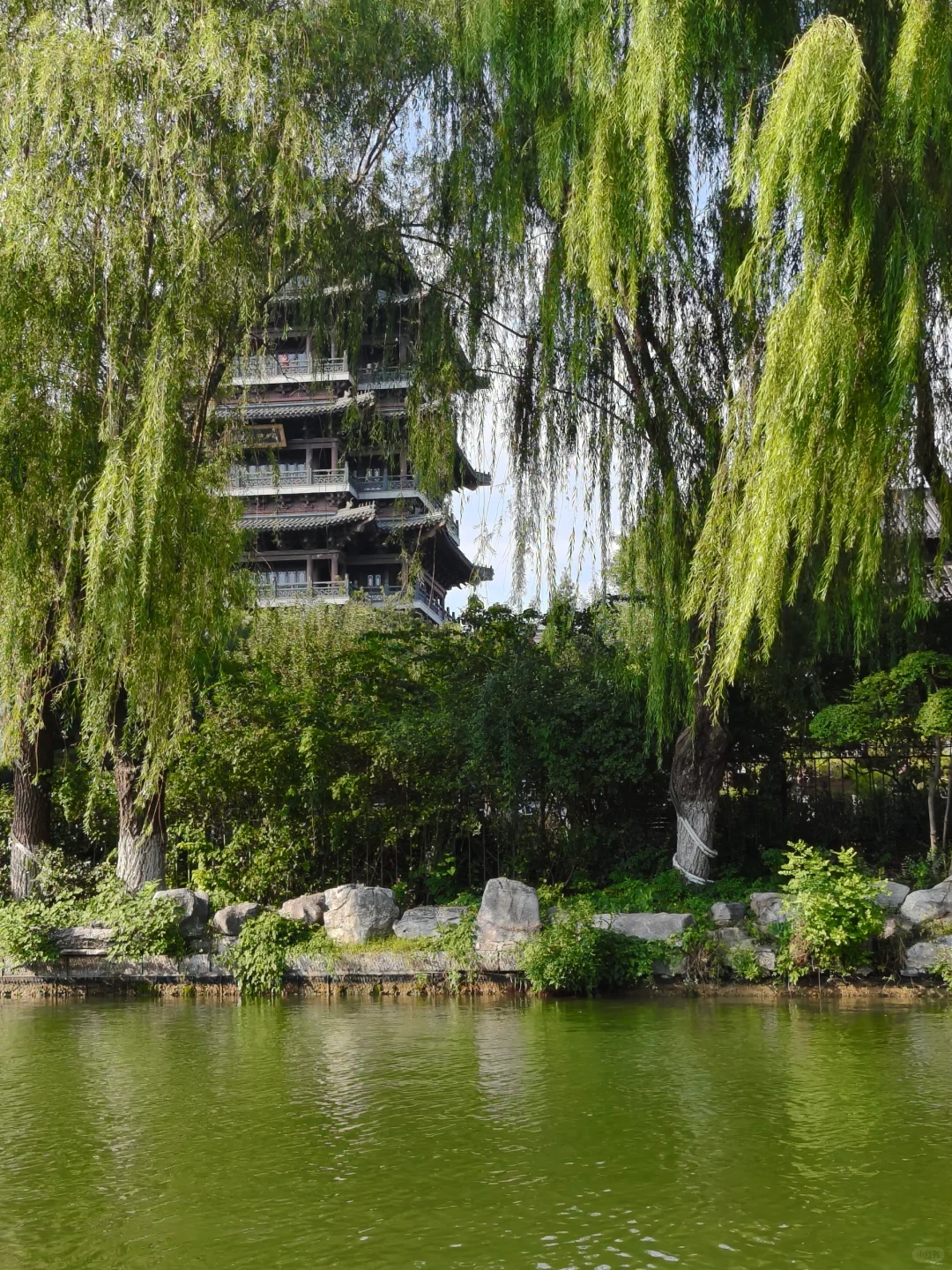 济南一天玩遍了！（邯郸出发济南