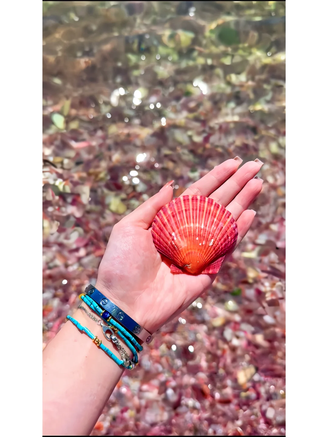 一片被忽视的粉色海滩-董家沟养殖一场~