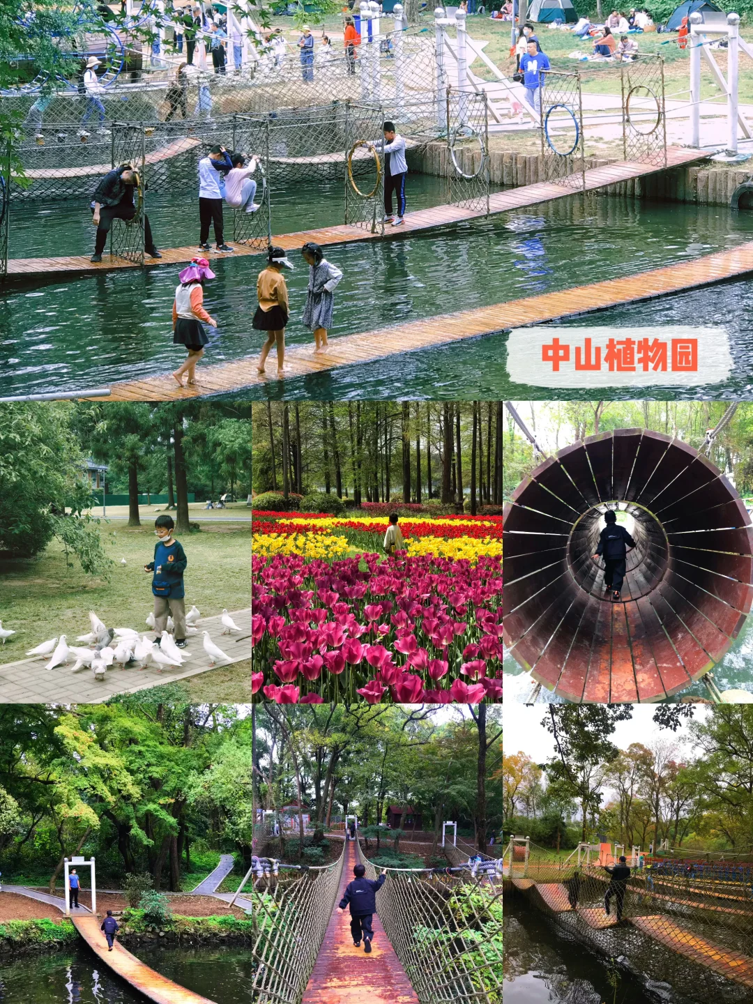 暑假带娃怎么逛南京中山陵‼️一篇讲清