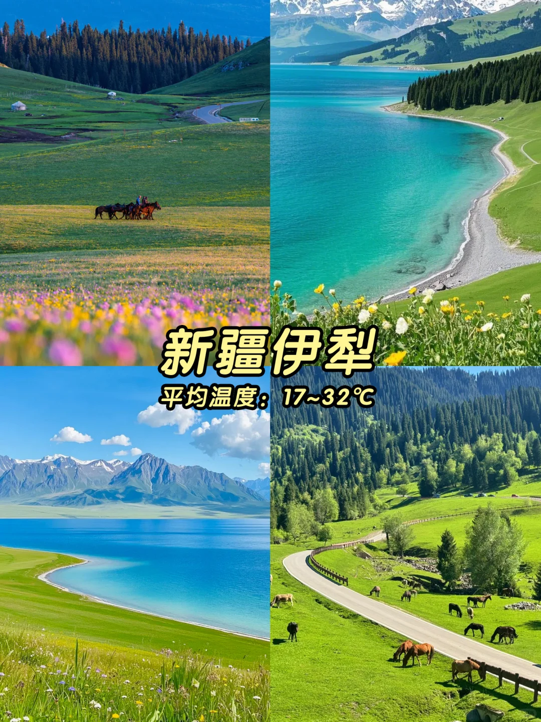 2025避暑地图💦均温20℃的天然空调！