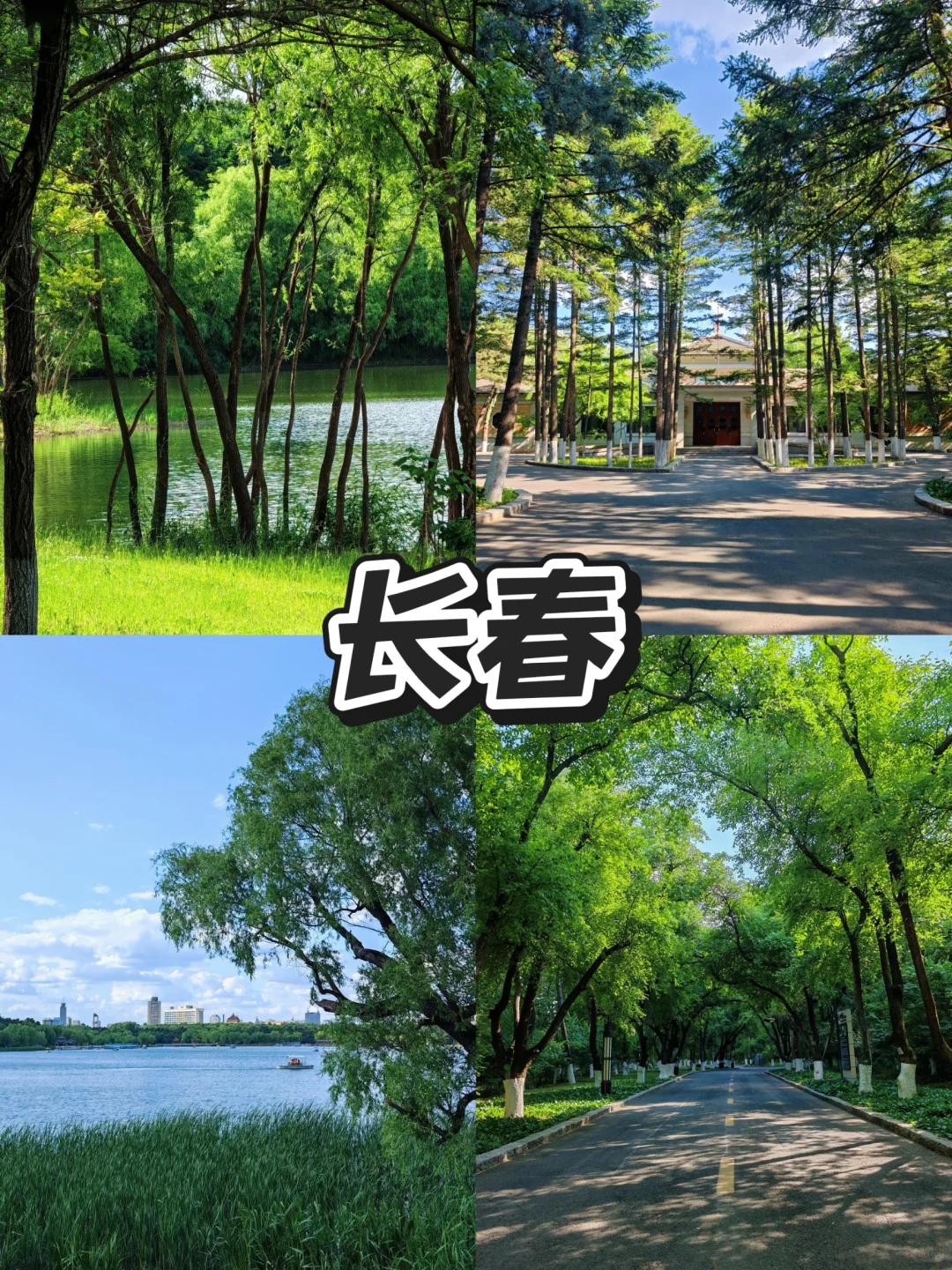 谁说东北只能冬天玩❓东北避暑简直太爽了！