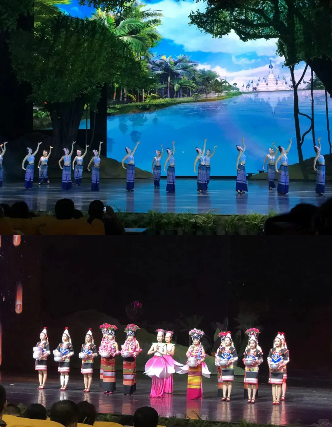 西双版纳必玩景点攻略总结之最近-曼听公园