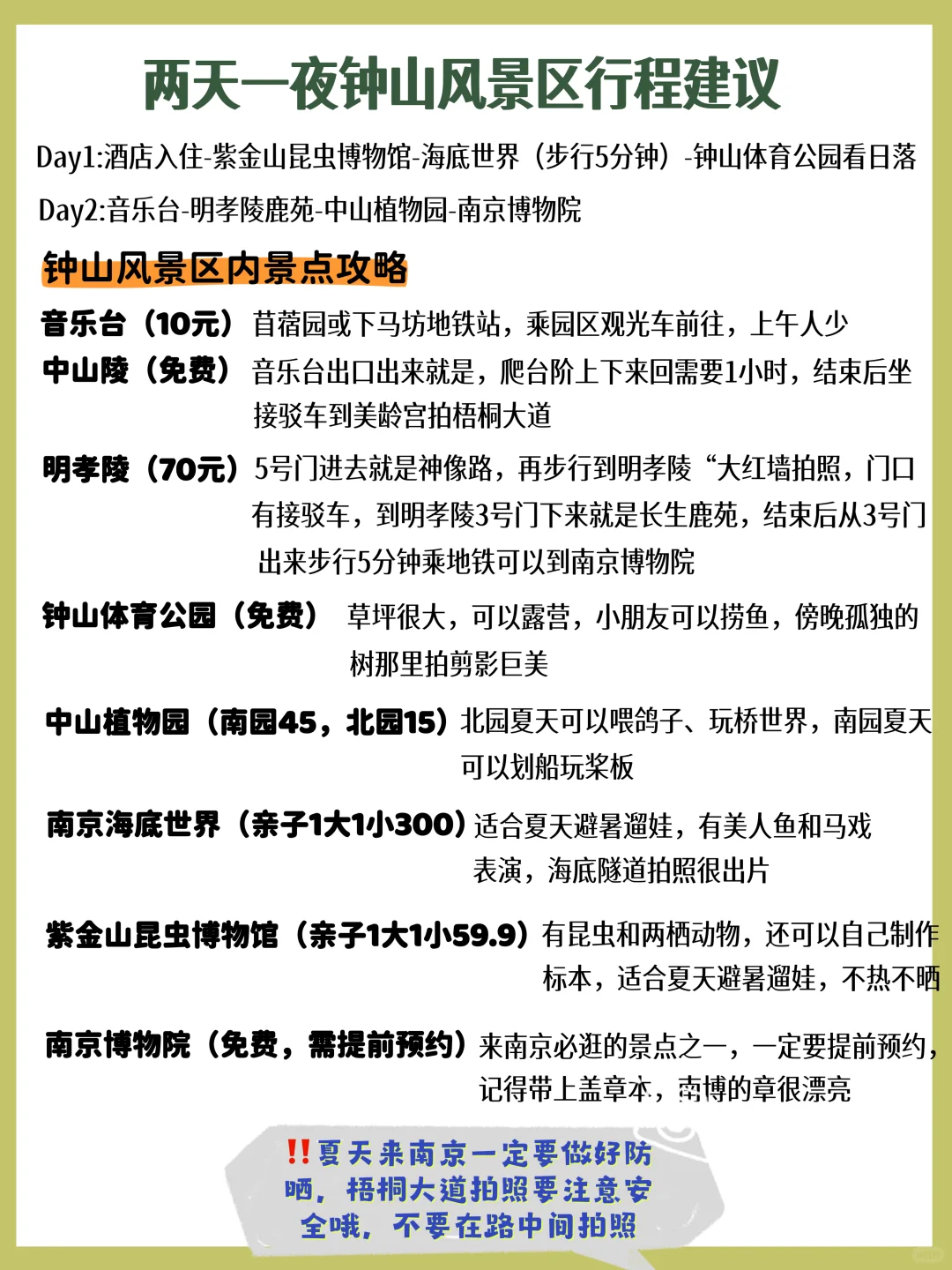 暑假带娃怎么逛南京中山陵‼️一篇讲清