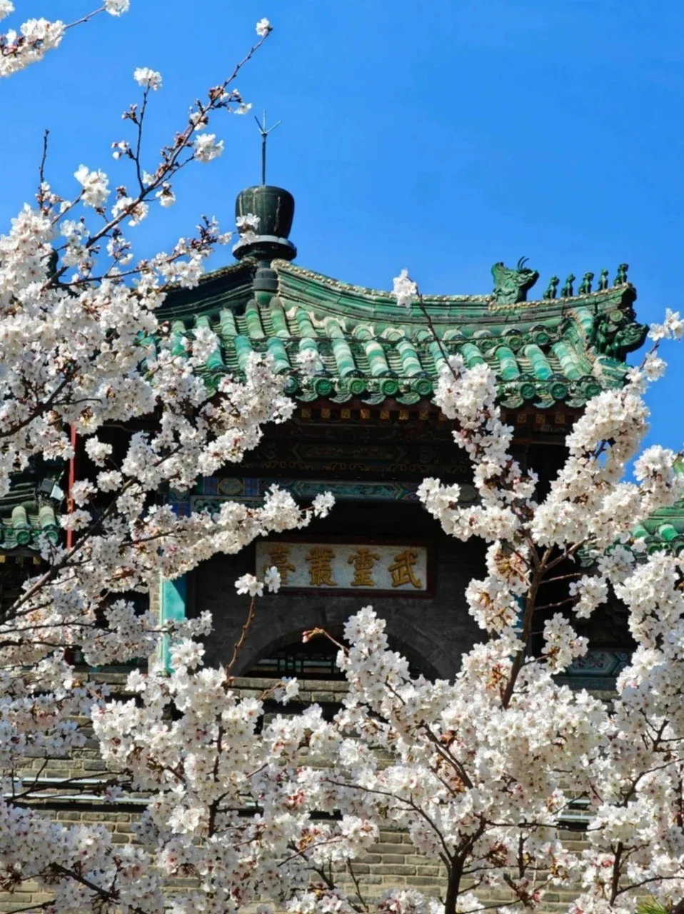 邯郸旅行必逛!9 大景点一键解锁古城魅力