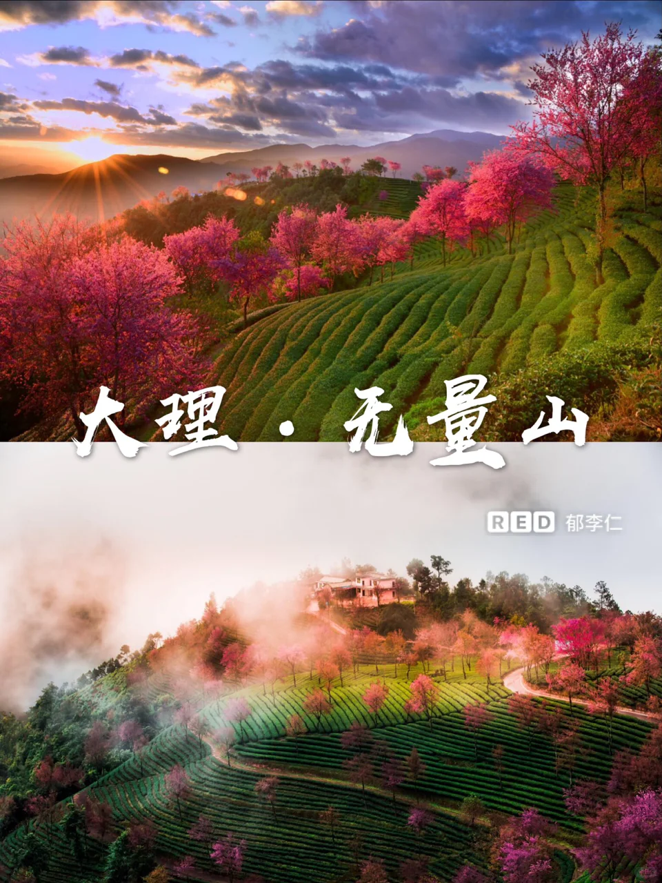 11月国内旅游✈️最美小众旅行地🌟纯干货㊙️